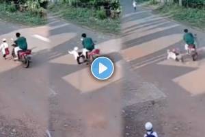 Accident Viral Video