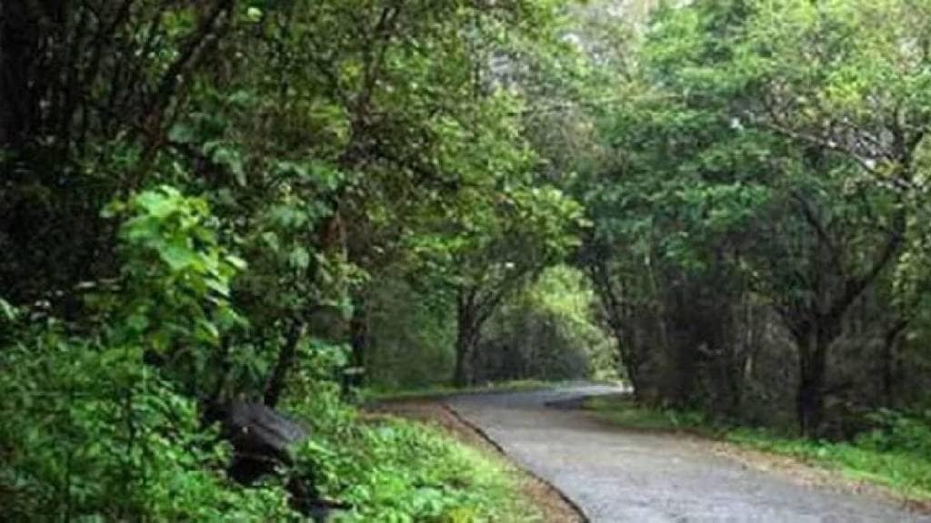 three baby vagathias brought from Kolhapur to sanjay gandhi national Park in borivali