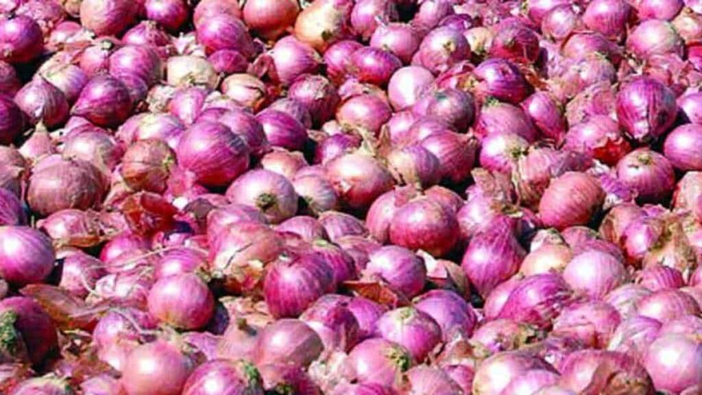 Onion, Cultivation , Export , Storage ,