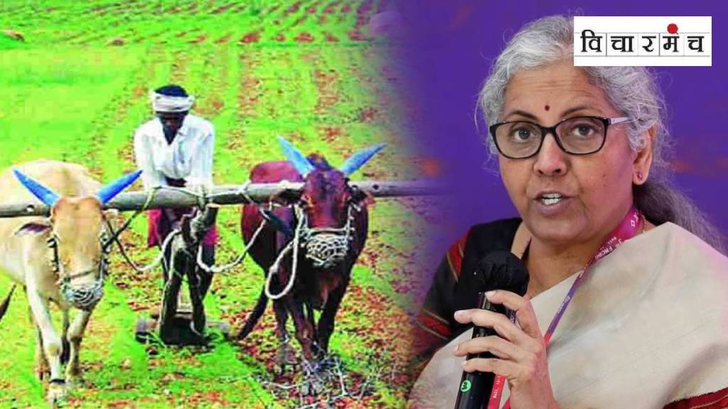 Union Budget 2025 farmers loksatta news