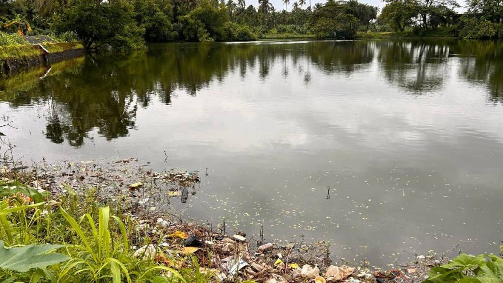 many lakes in vasai and virar are polluted due to poor conservation and cleaning