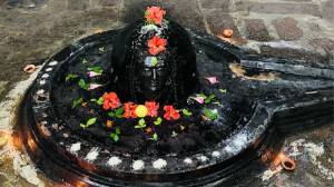 Mahashivratri 2025 : महाशिवरात्रीला शिवलिंगावर ‘ही’ एक वस्तू अर्पण केल्याने आयुष्यात सुख-समृद्धी, पैसा अन् एकग्रता वाढेल