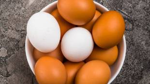 White or brown egg is more beneficial to health