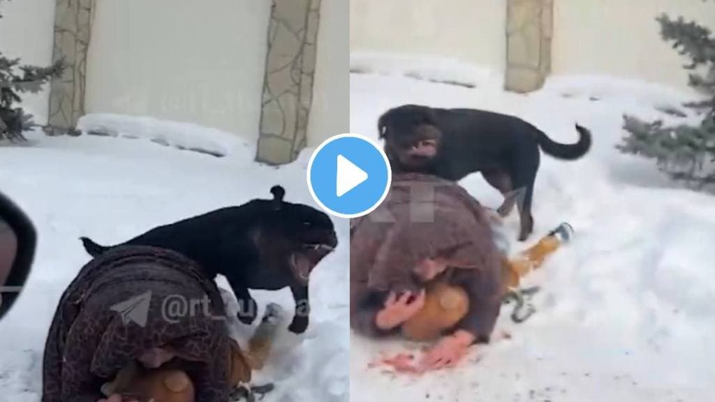 Mom shields her 5yo kid with her OWN body to protect from Rottweiler attack shocking video goes viral