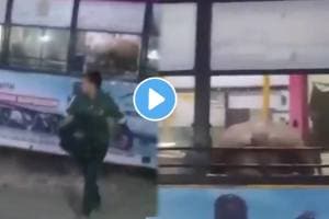 Bull on a city bus in Jaipur passengers shocked as bull suddenly entered in bus shocking video