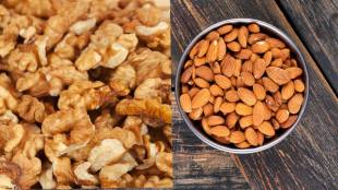 Walnuts vs Almonds: Which is better for boosting memory and sharpening the brain?