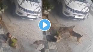 Shocking video a four year old girl suffered injuries after stray dogs attacked her at Hyderabad