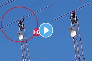 VIDEO Viral: Drunk Youth Climbs Mobile Tower In Bhopal, Creates Ruckus video goes viral on social media