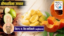 Guava Health Benefits ‘हे’ फळ गरिबांचे टॉनिकच