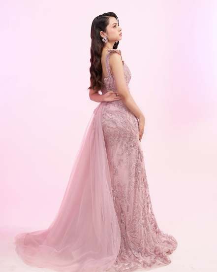 Nitanshi Goel wins an award for laapata ladies special look in pink gown 