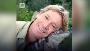 Special birthday wishes to Crocodile Hunter Steve Irwin from animal lovers