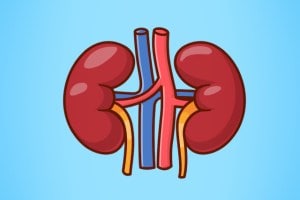 Symptoms Of Kidney Disease