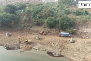 Hundreds of trees in Pune are being cut down in pursuit of riverside beautification