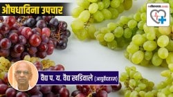 Health Grapes Benefits आयुर्वेद सांगतो, जगातील सर्वात श्रेष्ठ फळ ‘हे’च! पण का?