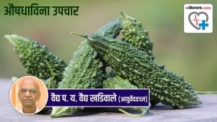 Karela Uses Benefits Side Effects in Marathi