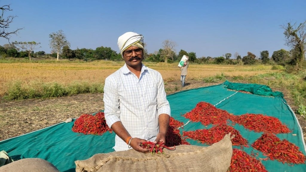 Chandrapur District chilly, European citizens food,