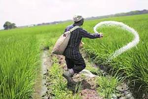 india become world s largest exporter of agrochemicals