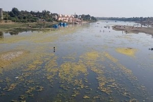 pandharpur chandrabhaga river polluted