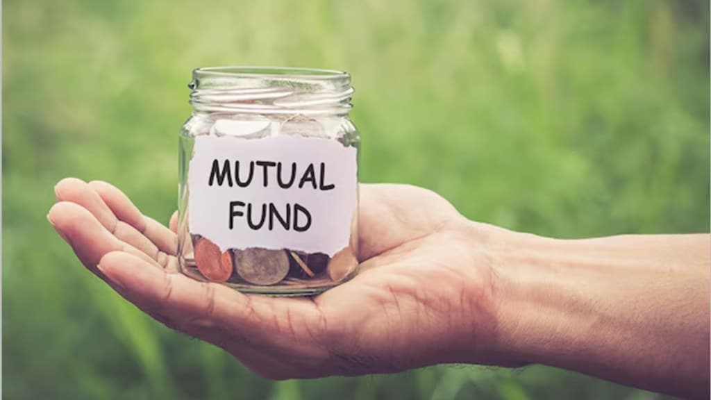 large cap mutual fund