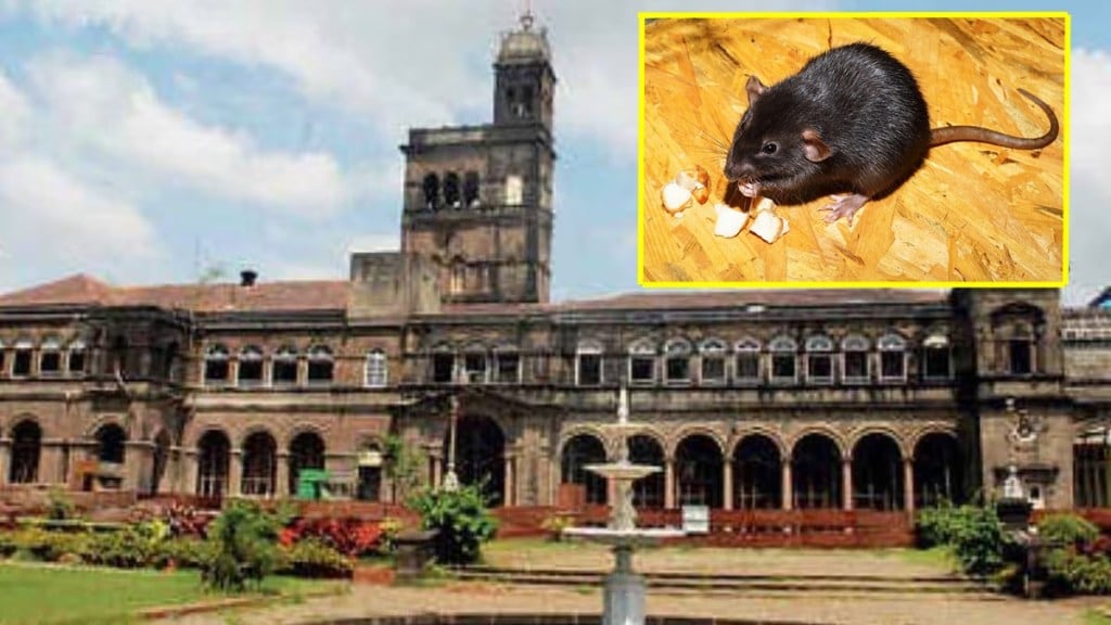 pune university rats news loksatta