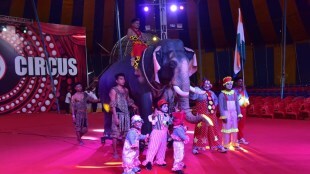 digital elephants circus