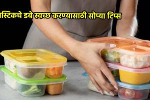 cleaning hacks how to remove yellow stains from plastic tiffin box