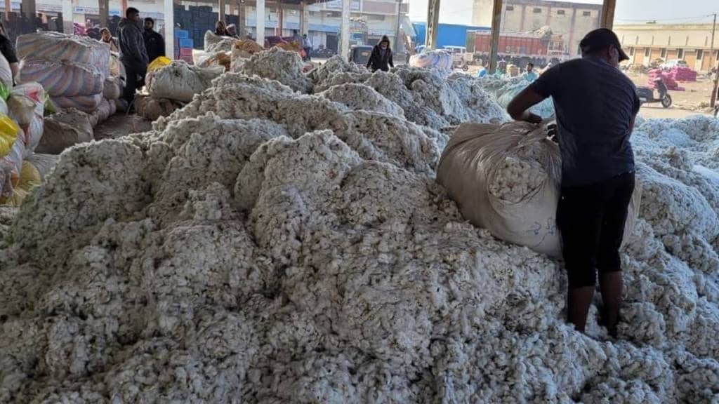 Cotton Corporation of India purchasing of cotton price five hundred rupees per quintal parbhani