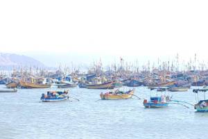 Fish drought like conditions Dapoli coast strong wind speed fish trade