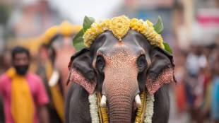 Forest dept probes elephant procession in Pirangut