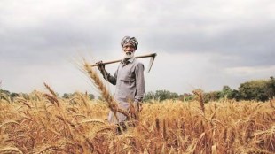 farmers get rs 592 crore 34 lakh 90 thousand 530 in bank accounts farmers affected by natural calamities