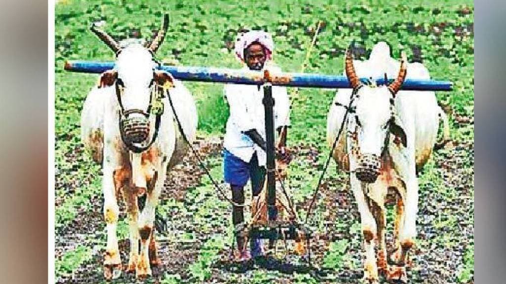 Budget 2025 Agricultural Production Yogendra Yadav Farmer Budget