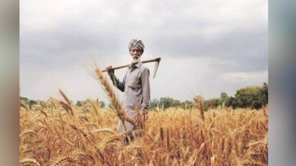 अब के सजन सावन में...; कृषीक्षेत्रासाठी सहा नव्या योजना ( संग्रहित छायाचित्र)/ लोकसत्ता 