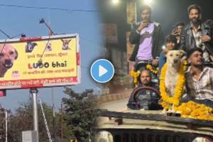 group of friends arranged birthday party for street dog