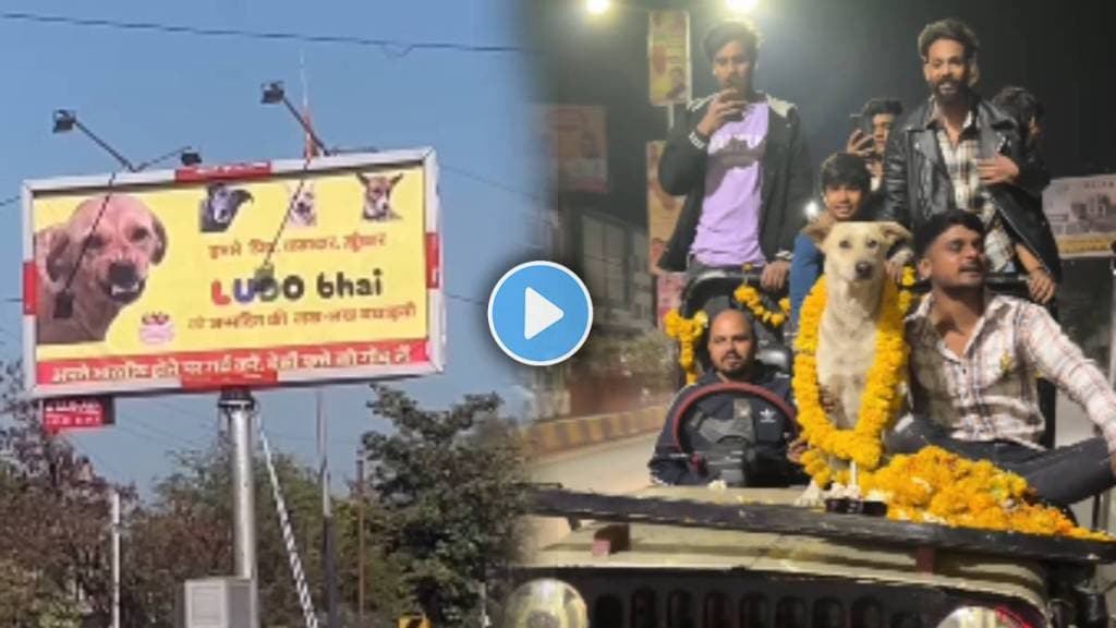 group of friends arranged birthday party for street dog