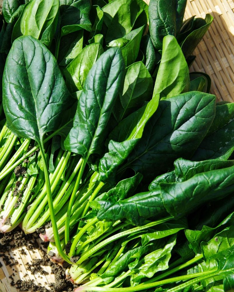 Protein in Spinach