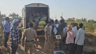 illegal opium cultivation indapur pune Police action pune