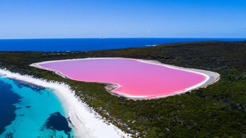 Lake Hillier's Pink Water