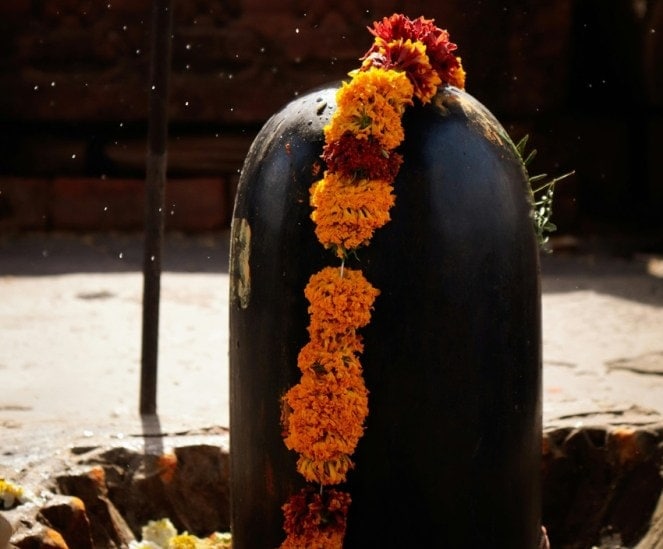 forbidden flowers for Shiva puja