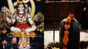 Maha shivratri 2025 : महाशिवरात्रीला शिवलिंगावर अर्पण करा ही फुले, तुमच्या सर्व इच्छा होतील पूर्ण