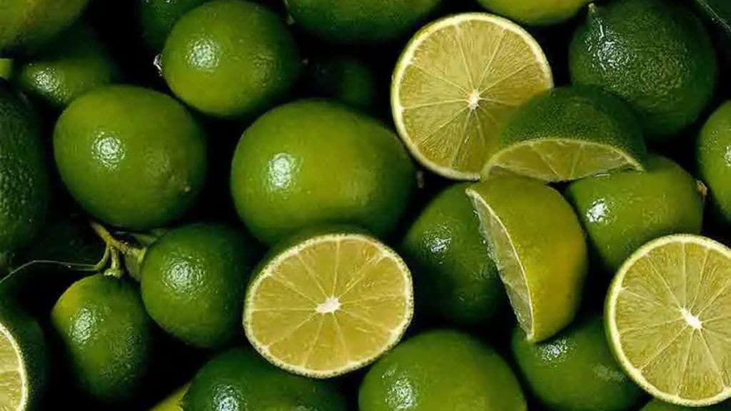 Demand for juicy fruits increases due to heat Prices of citrus fruits lemons increase