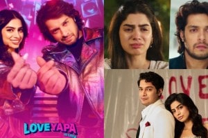 loveyapa box office collection