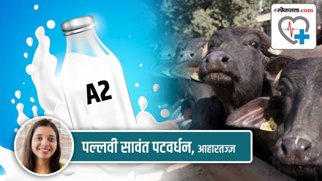 A2 milk