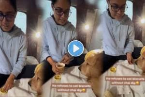 mom desi jugaad for her pet Dog