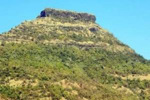 bee attack during hike at pandavgad in satara