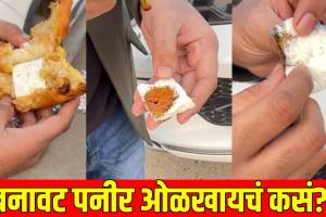 paneer viral video