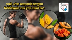 पपई-आंबा खाल्ल्याने स्नायूंच्या निर्मितीसाठी मदत होऊ शकते का? तज्ज्ञांचे काय आहे मत…