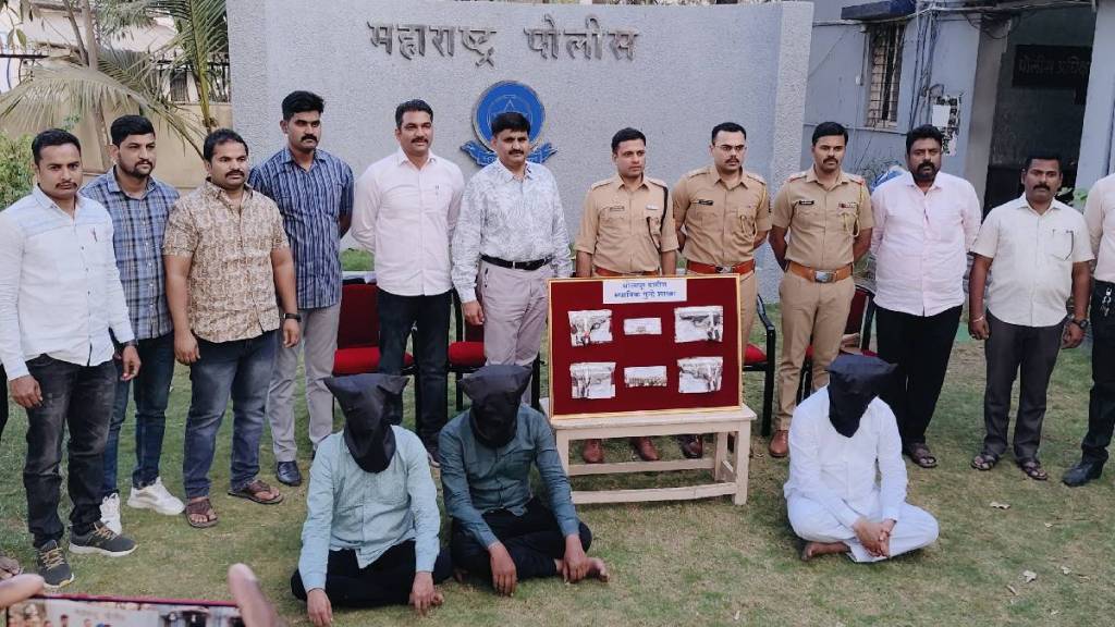 4 pistols 23 cartridges seized from absconding accused solhapur crime