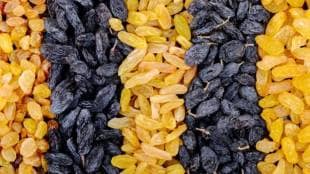 highest raisin price in season 2025