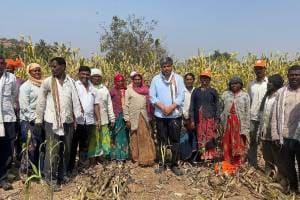 MLA Rohit Pawar experienced sorghum harvesting farm karjat jamkhed