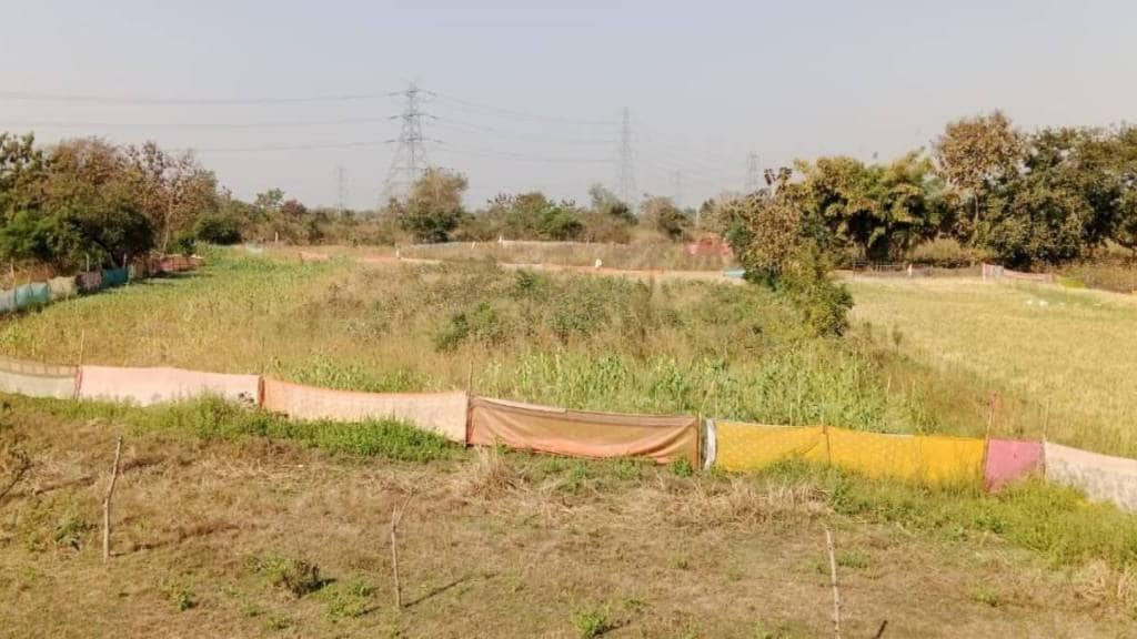 Farmers experiment with old sarees fence to save farming